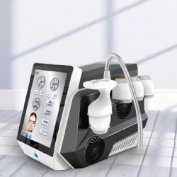 Body Sliming Fat Cold Therapy Face Lifting Beauty Device