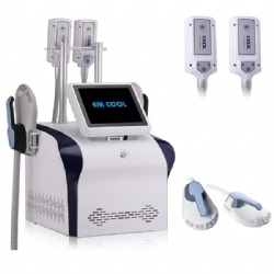 Cryotherapy Ems RF Function Fat Burning Weight Loss Shaping Cryo Pad Machine